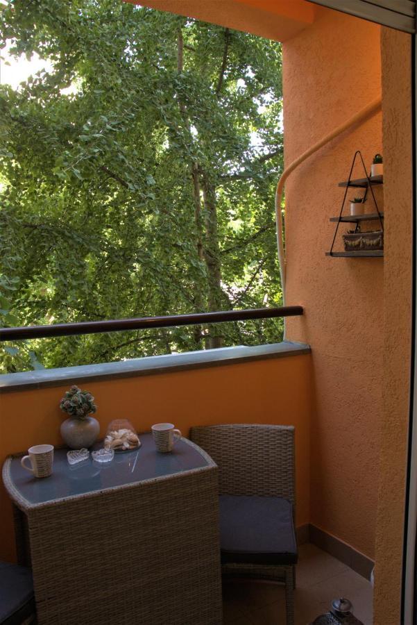 Novi Sad Apartman Tenigo Eksteriør billede